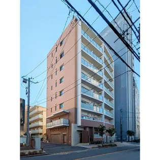 グレイス綾瀬の画像