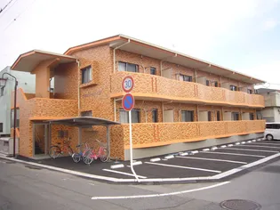 アヴェニール コガの画像