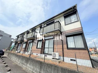 プチマーガレットの画像