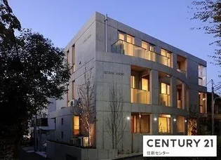 セタリアヴィリディスの画像