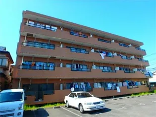 シャネレードMKの画像