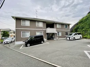 シャルムM Yの画像