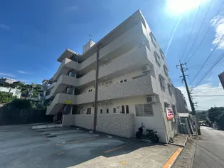 サンリットシロイチの画像