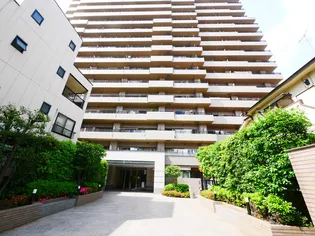 サーパスシティ柏の画像