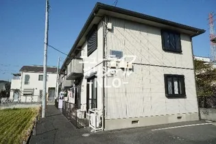 フィールド フラワーの画像