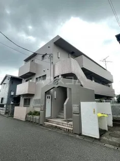 マウンテン 宮の画像