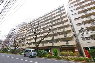 第5桜台ファミリーマンションの画像