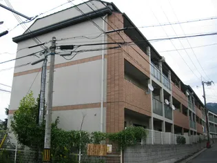 メリーコンフォートの画像