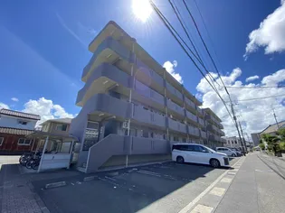 シャイン フィルⅡの画像