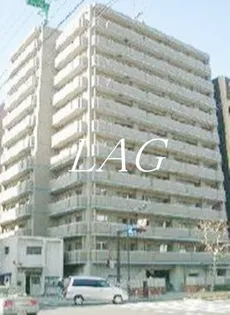 オリーブ スクエアの画像