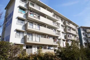 みさと団地13街区7号棟【1階】の外観