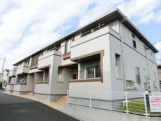 フェリースIIIの画像