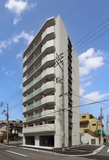 B'Z HILLS STAGE IIの画像