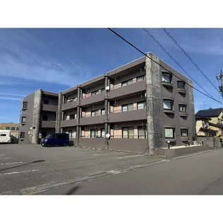 アンプルール24の画像