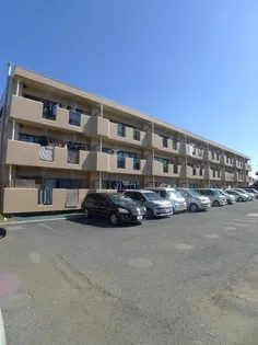 サンアゼリア壱番館の画像