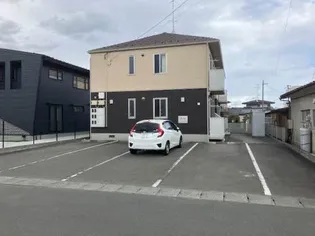 パピヨンの画像