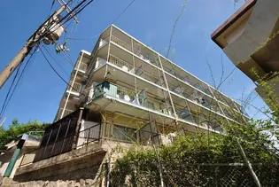 イーズIIIの画像