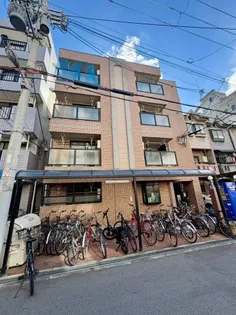 コートドリコの画像