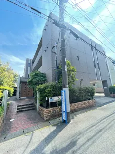 スカイシーガルの画像