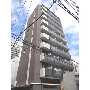 RAVITAの画像