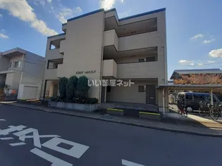 QUA WADAの画像