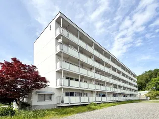 長野県伊那市福島【マンション】の外観