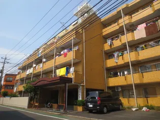 柴又STマンションの画像
