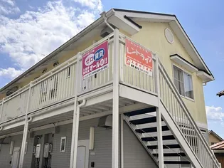 ザ ロータスの画像