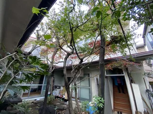 アライアネックスの画像