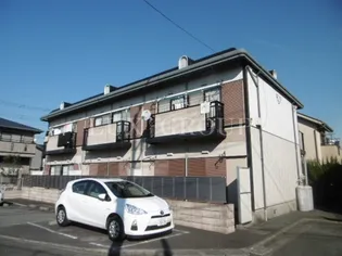 コートナカミチCの画像