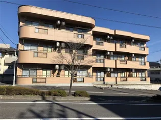 シャルムY Sの画像