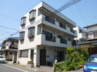 ツリーコートの画像