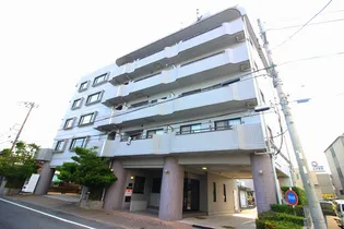 シャンノールの画像