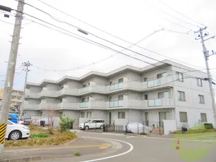 M'S CUBEの画像