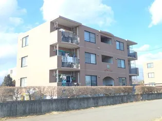 ピュアライフエム Aの画像