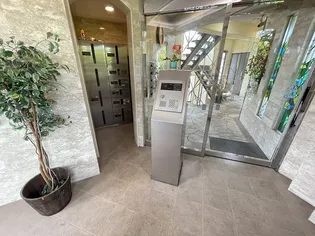 マーサジュンの画像