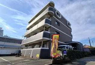 パールサランの画像