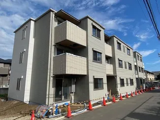 ステラスクネの画像