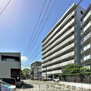 ナウヴィレッジ港の画像