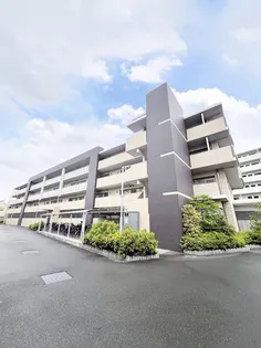 ザクシフ【4階】の外観