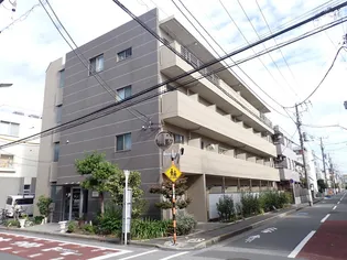 プリムローズの画像