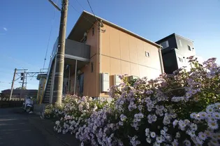 ボア ソルテの画像