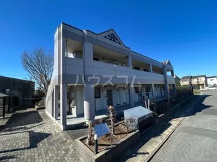 PALATINOの画像
