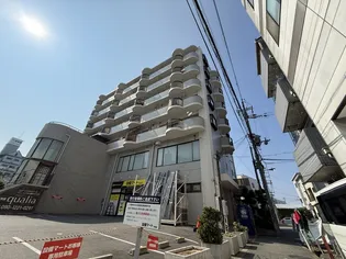 SUN WOODSの画像