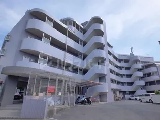 エヴァーグリーン市川の画像