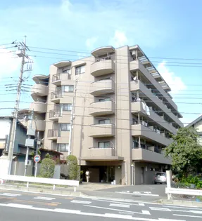 ごこうの画像