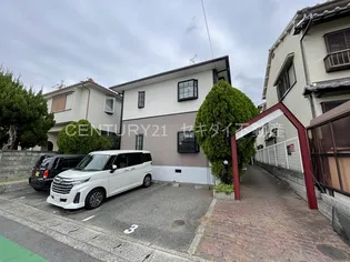 パナメゾンアオキの画像