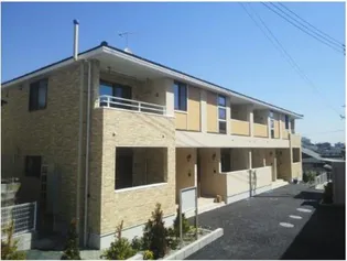 チェリーブロッサムの画像