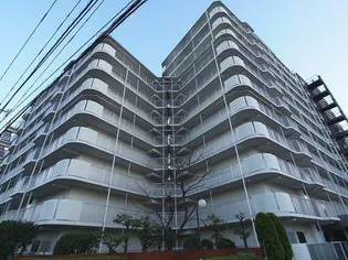 マンハイム西大島【4階】の外観