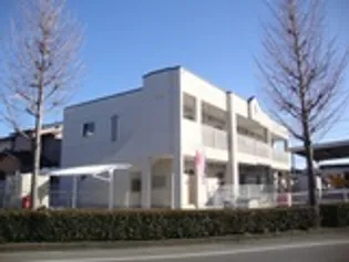 GRACE HILLSの画像